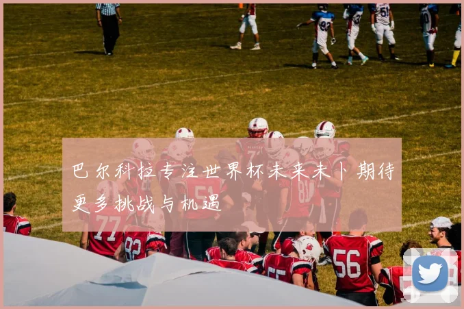巴尔科拉专注世界杯未来未卜期待更多挑战与机遇