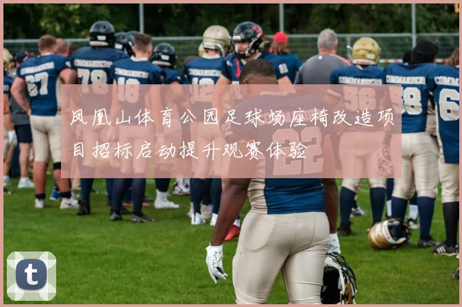 凤凰山体育公园足球场座椅改造项目招标启动提升观赛体验